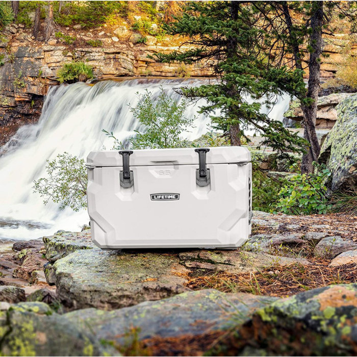 Lifetime 65 Qt. Lifetime HighPerformance Cooler & Reviews Wayfair